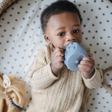 Dice Press Toy - Tradewinds/Stone Mushie