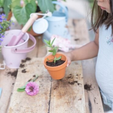 Γλαστράκι με Ηλίανθους Little Dutch